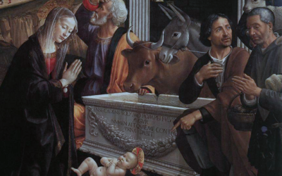 Animals of the Bible (1) The Ox