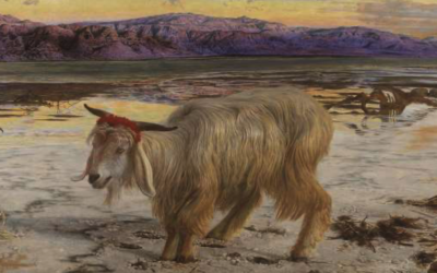 Animals of the Bible (8) The Goat