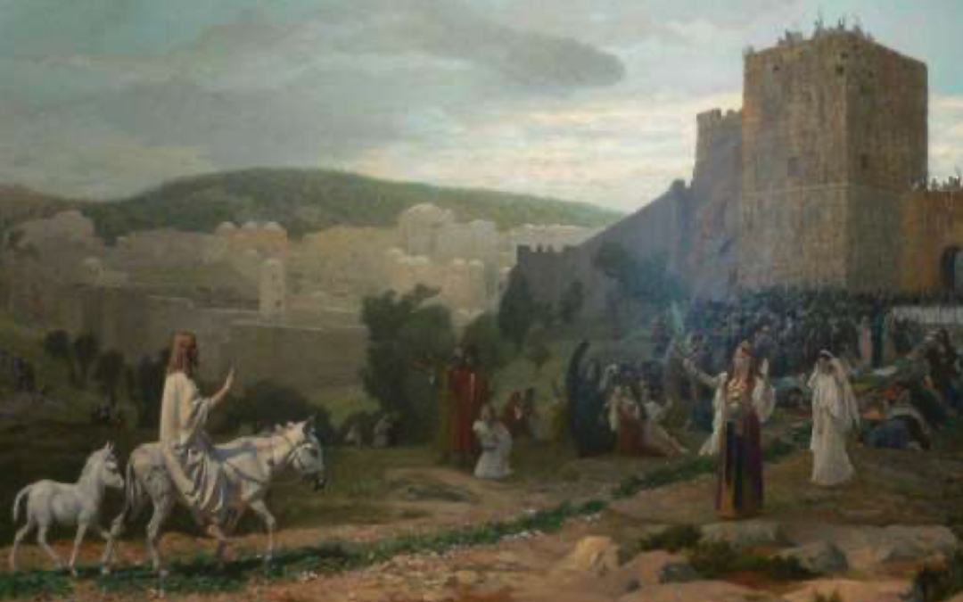 Animals of the Bible (11) The Donkey