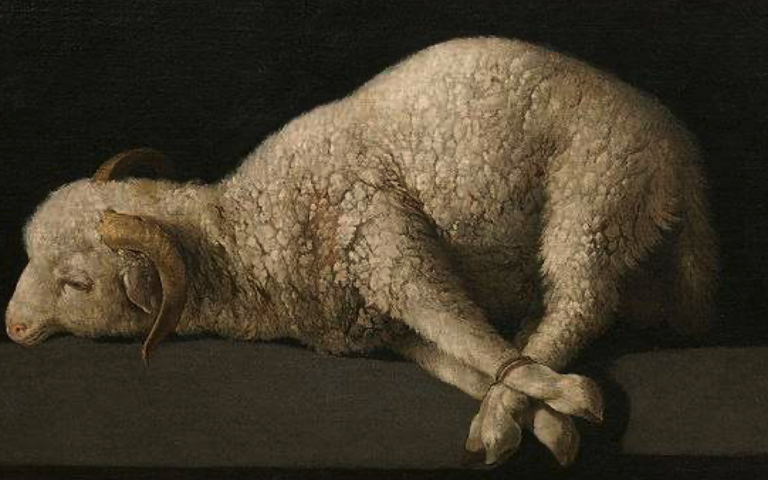 Animals of the Bible (12) The Lamb