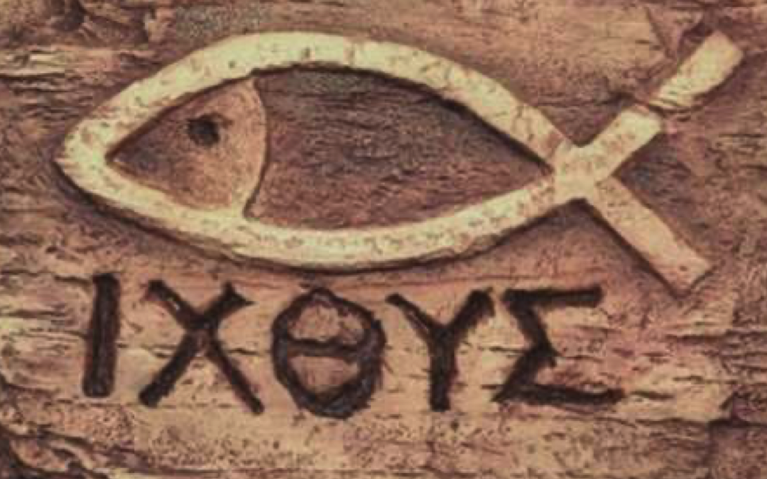 Animals of the Bible (13) The Fish
